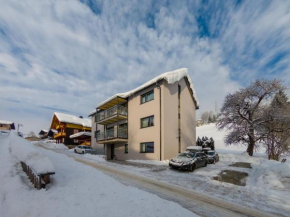 Apartment near ski area